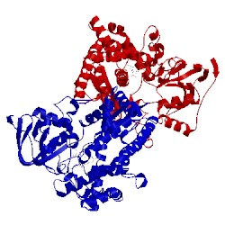 Image of CATH 3cli