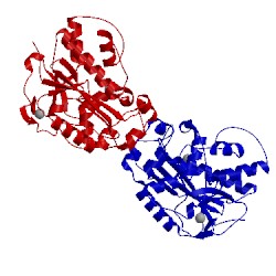 Image of CATH 3cm6