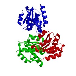 Image of CATH 3cnb