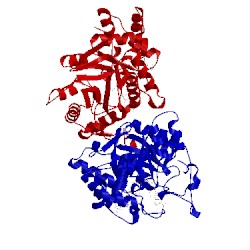 Image of CATH 3cot