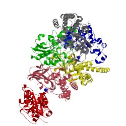 Image of CATH 3cus