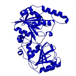 Image of CATH 3cuy