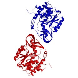 Image of CATH 3d1h