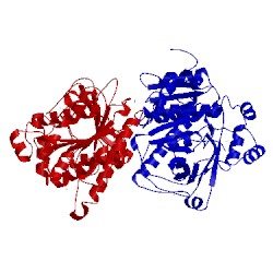 Image of CATH 3d5e