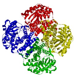 Image of CATH 3d9f