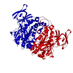 Image of CATH 3dh9