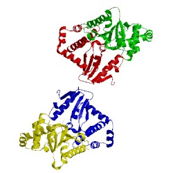 Image of CATH 3dks