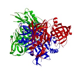 Image of CATH 3dm6