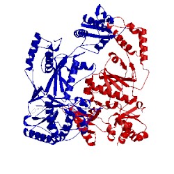 Image of CATH 3dmj