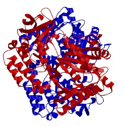 Image of CATH 3dpm