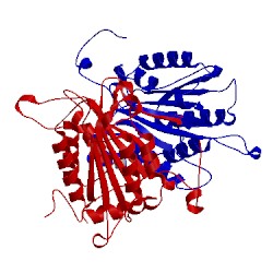 Image of CATH 3e4c