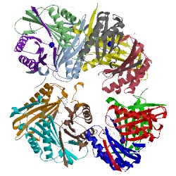 Image of CATH 3e6q