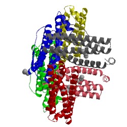 Image of CATH 3e6s