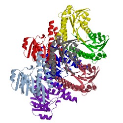 Image of CATH 3e9n