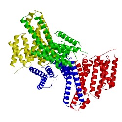 Image of CATH 3efz