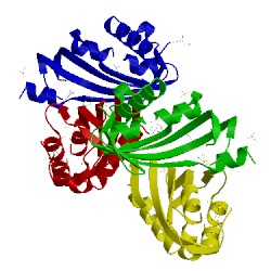 Image of CATH 3ehc