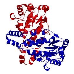 Image of CATH 3eir