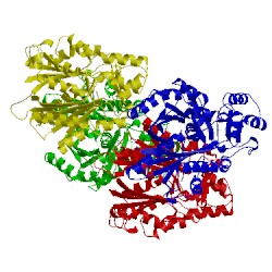 Image of CATH 3eut