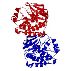 Image of CATH 3f3u