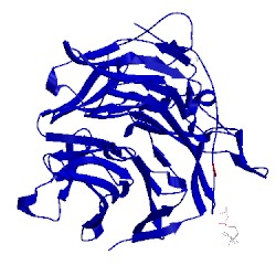Image of CATH 3fmo