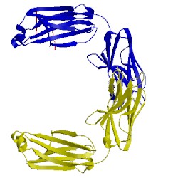 Image of CATH 3fo1