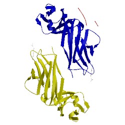 Image of CATH 3fo2