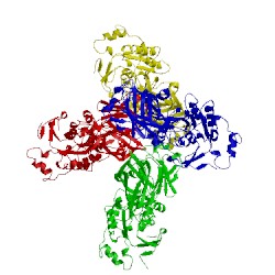 Image of CATH 3foa