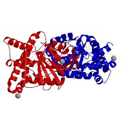 Image of CATH 3fpj