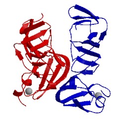 Image of CATH 3fqm