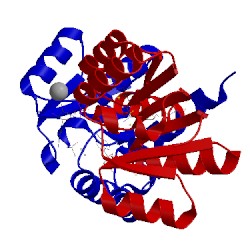 Image of CATH 3fwz