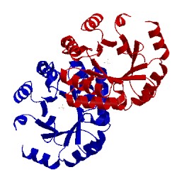 Image of CATH 3g1y