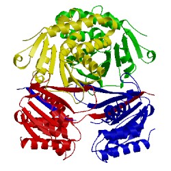 Image of CATH 3g2e