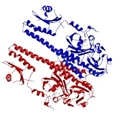 Image of CATH 3g6o