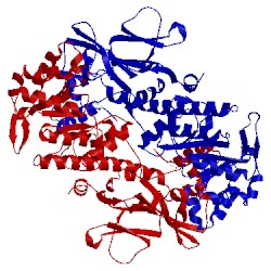 Image of CATH 3g8e