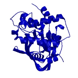 Image of CATH 3gbg