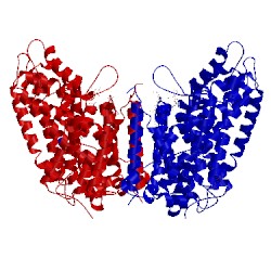 Image of CATH 3gjc