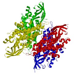 Image of CATH 3gnc