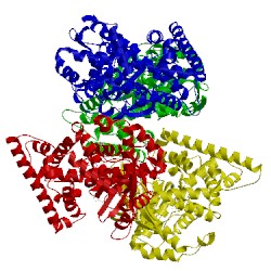 Image of CATH 3gw9