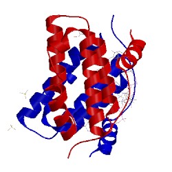 Image of CATH 3gwn