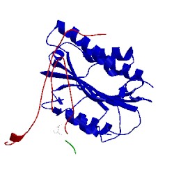 Image of CATH 3h11