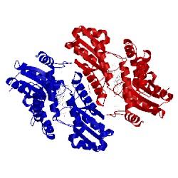 Image of CATH 3hcn