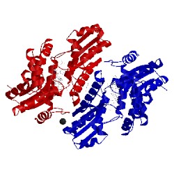 Image of CATH 3hcr