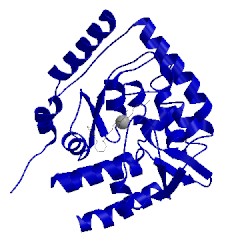 Image of CATH 3hfb