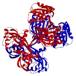 Image of CATH 3hk2