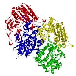 Image of CATH 3hlb