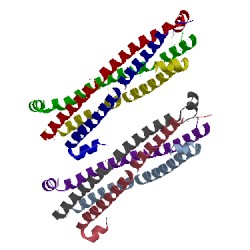 Image of CATH 3hls