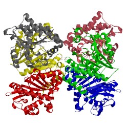 Image of CATH 3hn6