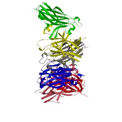 Image of CATH 3hpn