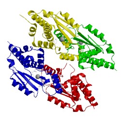 Image of CATH 3hw4