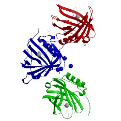 Image of CATH 3hwe